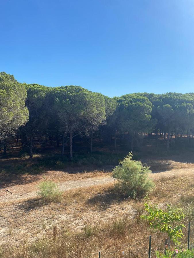 Studio Cabine Mer Et Pinede 26M2: 4Pers, Neuf, Cosy La Grande-Motte Eksteriør bilde